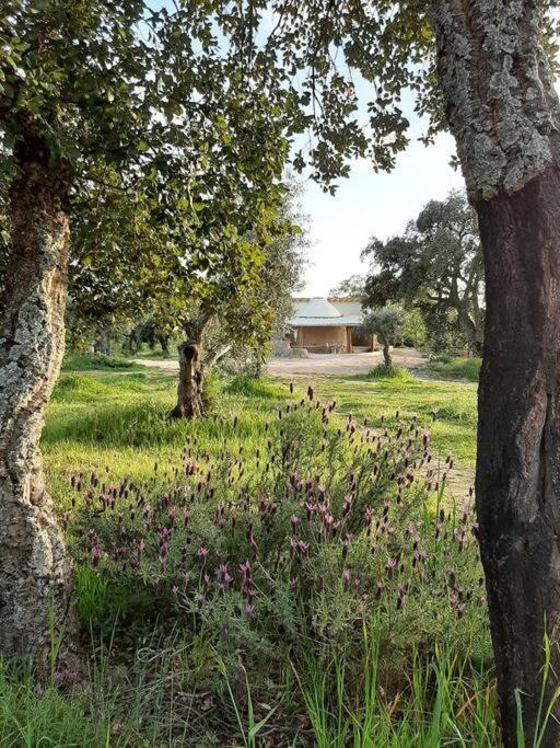 Quinta Terramadome: Dome Incomum & Responsavel Villa Penamacor Exterior foto
