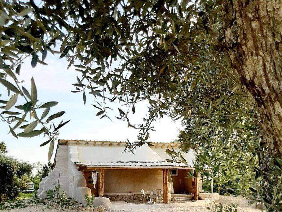 Quinta Terramadome: Dome Incomum & Responsavel Villa Penamacor Exterior foto